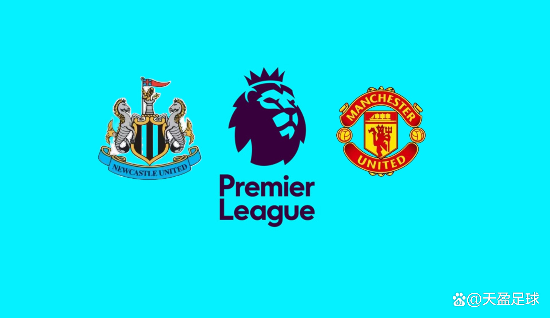 本文将深入 本文将深入