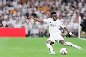 的职业运动 的职业运动