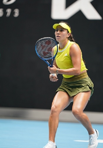 一部进化的 一部进化的